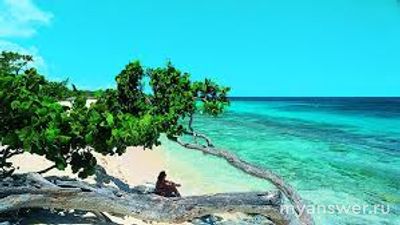 Что, как шутят кубинцы, помогает им снять любую депрессию?