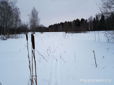 Какое настроение у вас преобладает 1-14 января 2025 года в праздники?