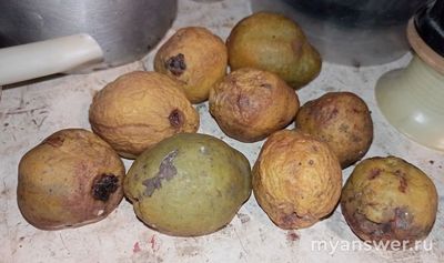 Стоит ли делать из айвы варенье или просто добавлять в чай?