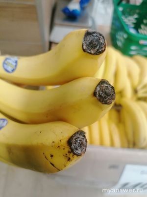 Почему в магазинах фрукты с плесенью?