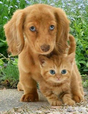 Как писать женские имена с удвоенным согласным с суффиксами -ул-, -юс- (→)?