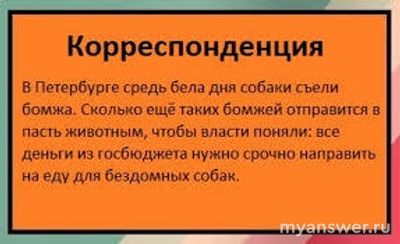 Почему общество делает козлами отпущения бездомных собак?