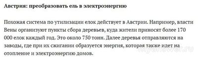 Во что превращаются переработанные елочки?