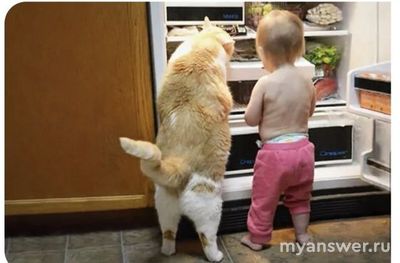 Зачем/с какой целью некоторые люди закрывают холодильник на замок?