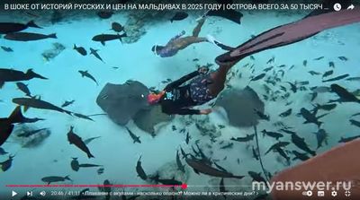 Можно ли на Мальдивах купаться с акулами в критические дни?