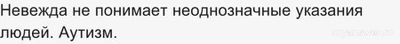 Какое разрешение невеждам иметь кошку?