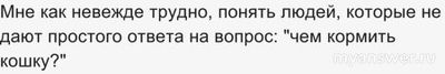 Какое разрешение невеждам иметь кошку?
