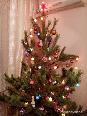 Новогоднюю ёлку нужно наряжать сверху, снизу или можно хаотично? Почему?