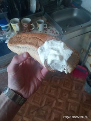 Можно ли назвать бутербродом кусочек хлеба политый подсолнечным маслом?