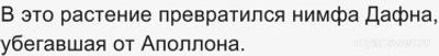 Мифы Древней Греции. Как подобрать растения и животных к описаниям (см.)?