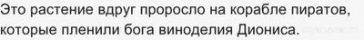 Мифы Древней Греции. Как подобрать растения и животных к описаниям (см.)?