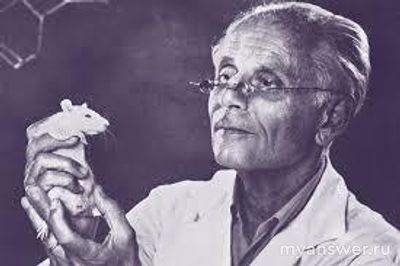 Кого называли отцом биологического стресса? Почему?